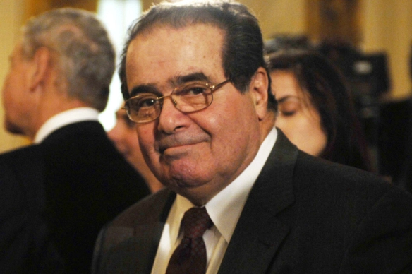 scalia 2