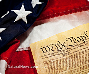 government