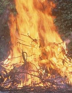 Four people have been arrested after a baby was thrown on a bonfire and burned to death in Chile