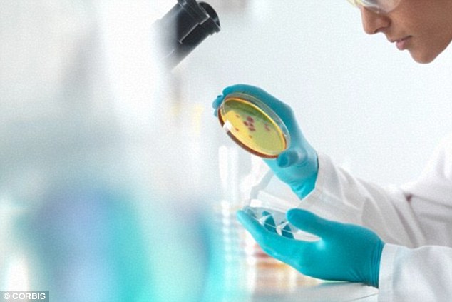 A potentially deadly bacteria has been accidentally released from a high-security research laboratory leading to serious safety fears (stock image)