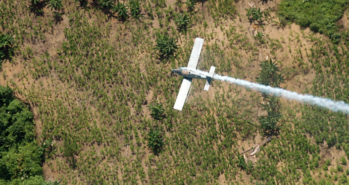 Colombia has announced that it will stop using Monsanto's controversial herbicide glyphosate - the active ingredient in its bestselling RoundUp - on illicit coca crops as part of state efforts to eradicate the plants.