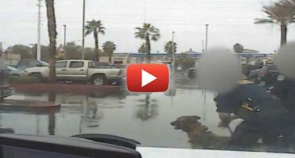 horrifying-video-shows-cops-sic-k9-on-infant-daughter-of-a-man-they-mistook-for-a-suspect_1