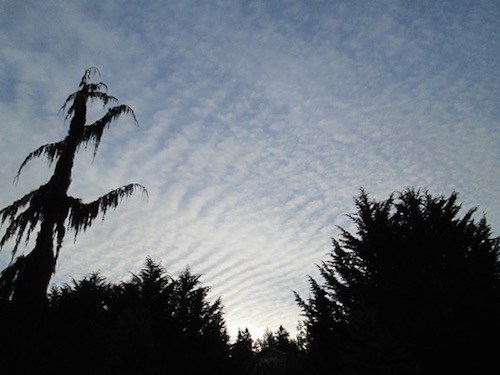 The US Navy admits to conducting electromagnetic warfare drills over the Olympic Peninsula. Reader submitted photo. 