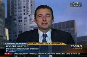 insurance shyster