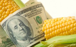 mercuryhighfructosecornsyrup 265x165 Global Treaty Signed to Stop Deadly Mercury While FDA Allows it Unchecked In Your Food
